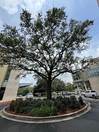 Front entrance always nice and tidy