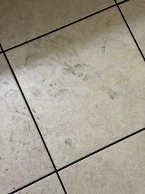 Filthy floors