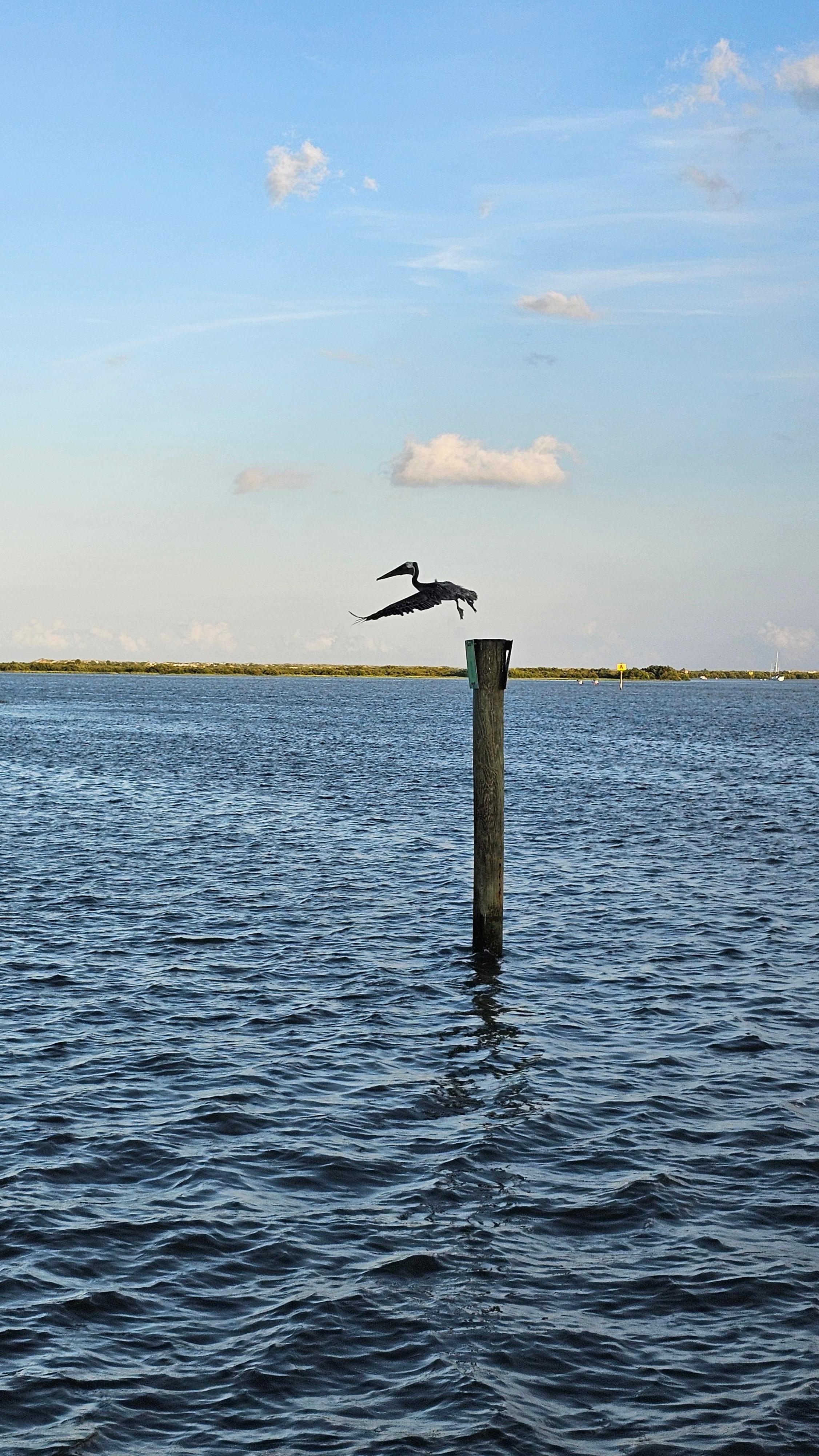 From the sunset cruise. 