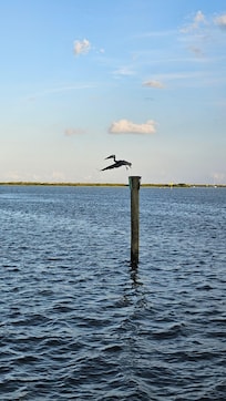 From the sunset cruise.