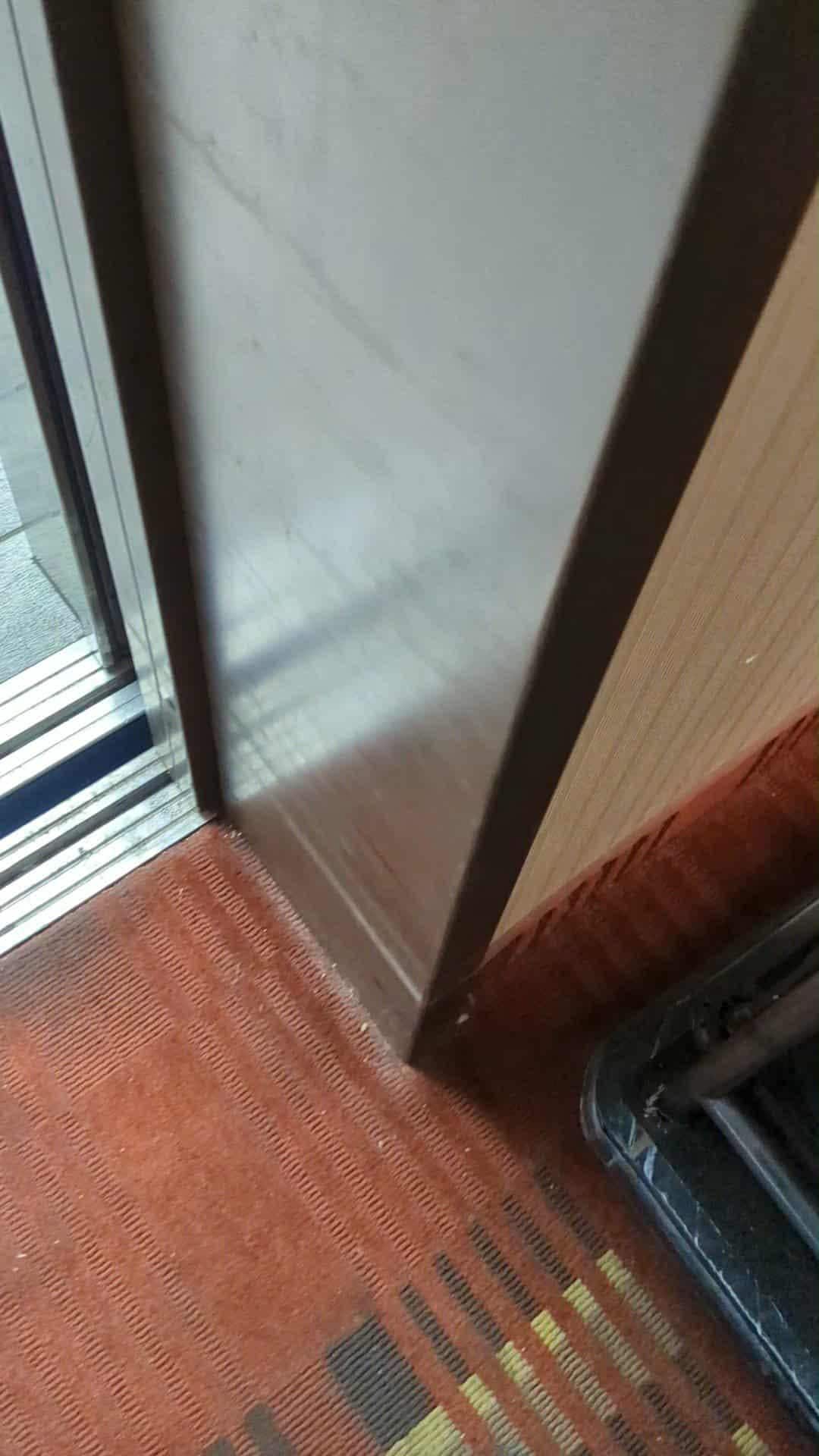 Carpet at elevator/hallway