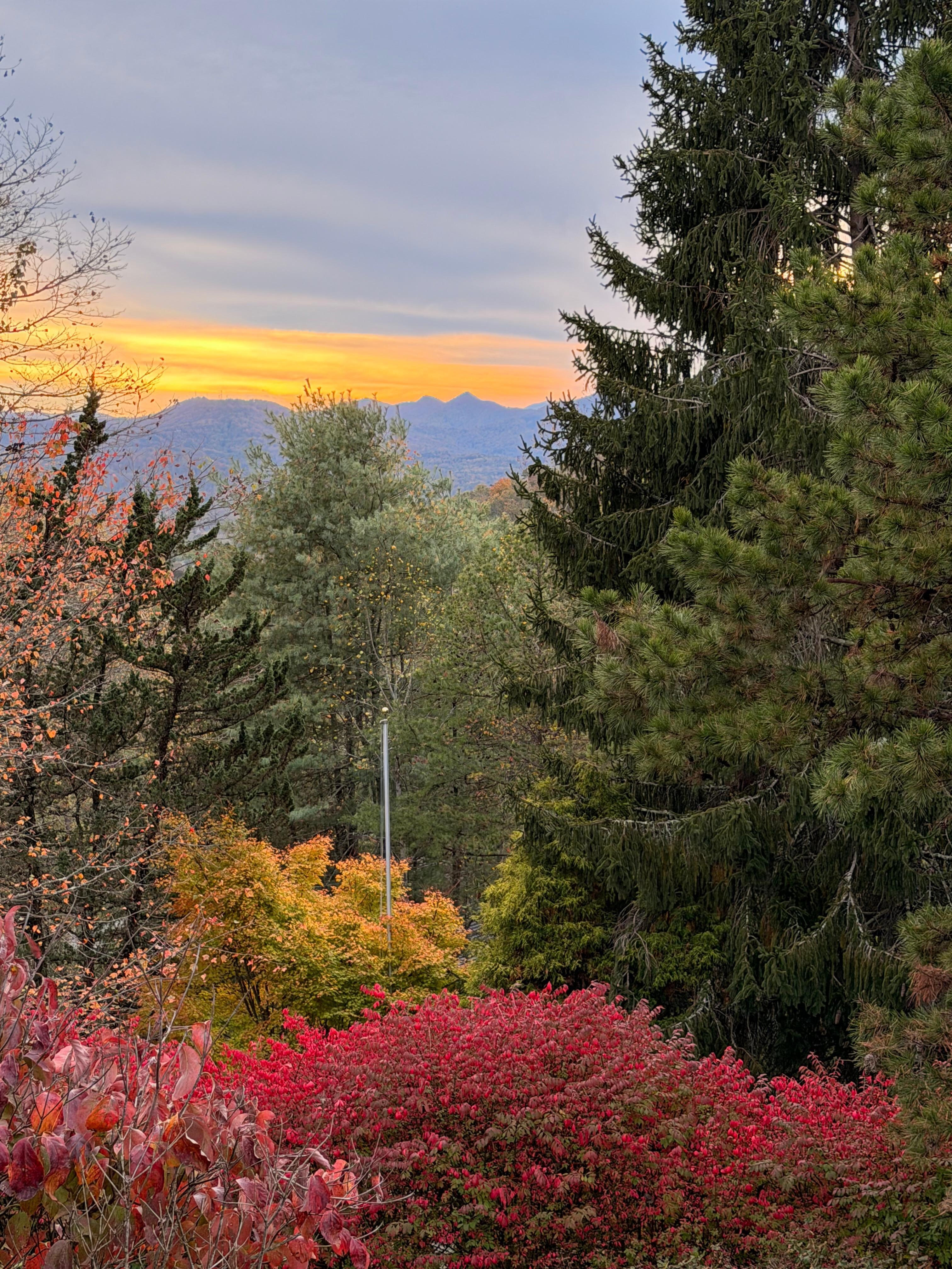 Beautiful view from backyard!