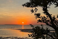 Bunche Beach