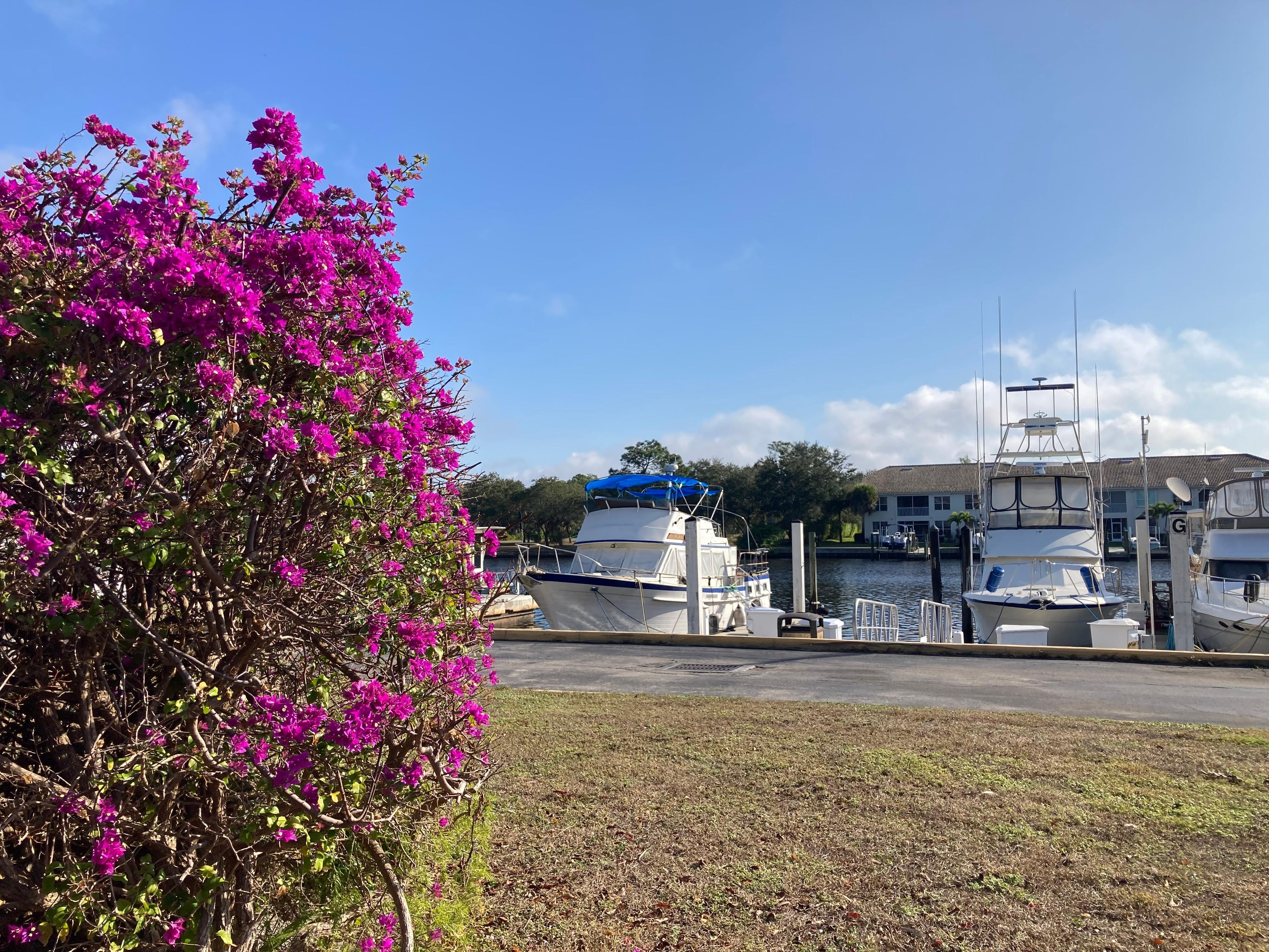 Looking out to the marina.