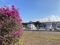 Looking out to the marina.