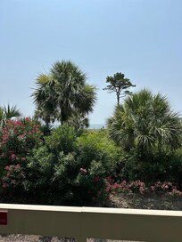View from the balcony