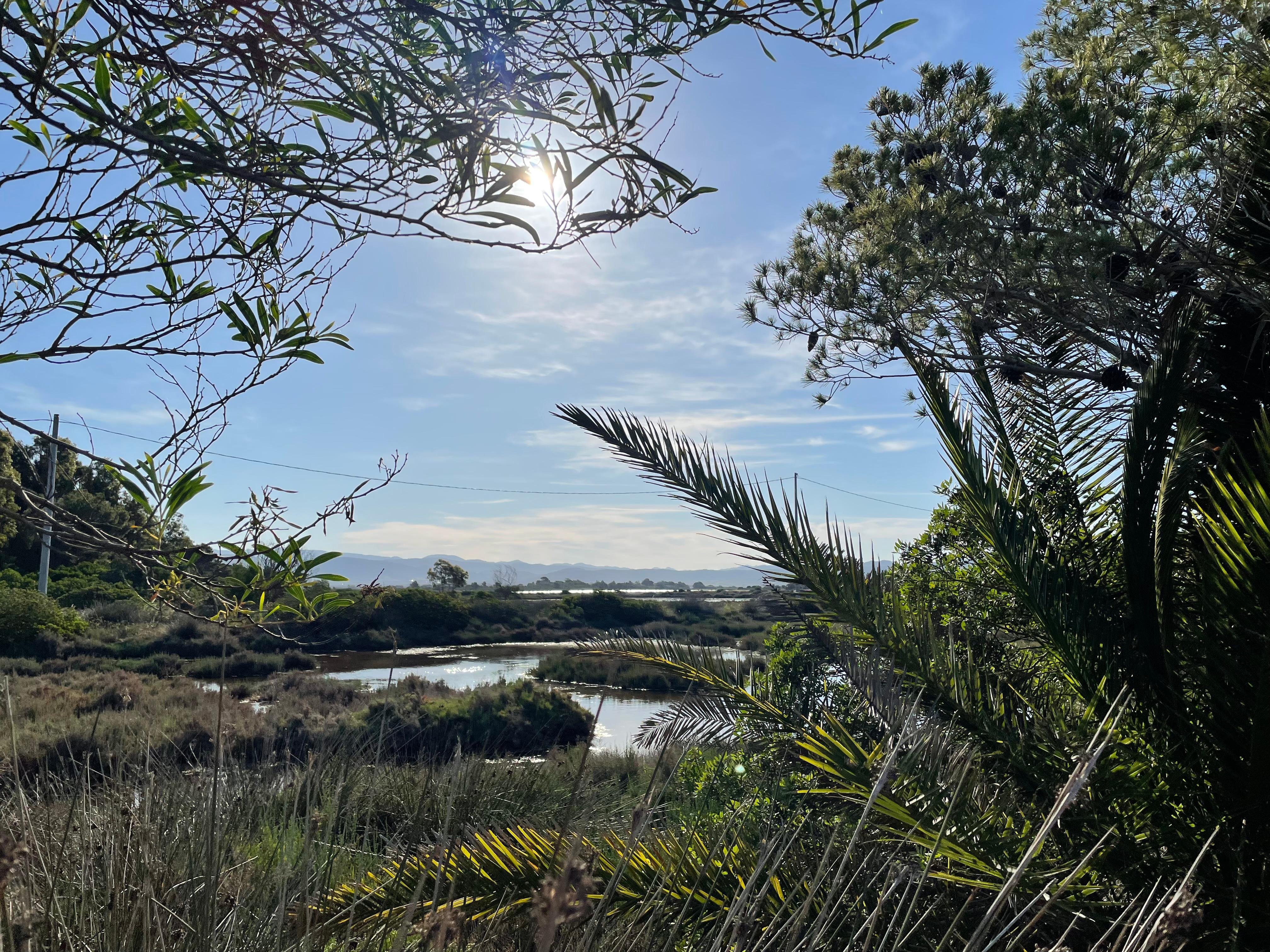 Blick auf die Lagunen 
