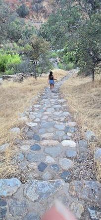 Steps heading down to the river behind the cabin.