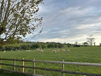 The view from the back garden