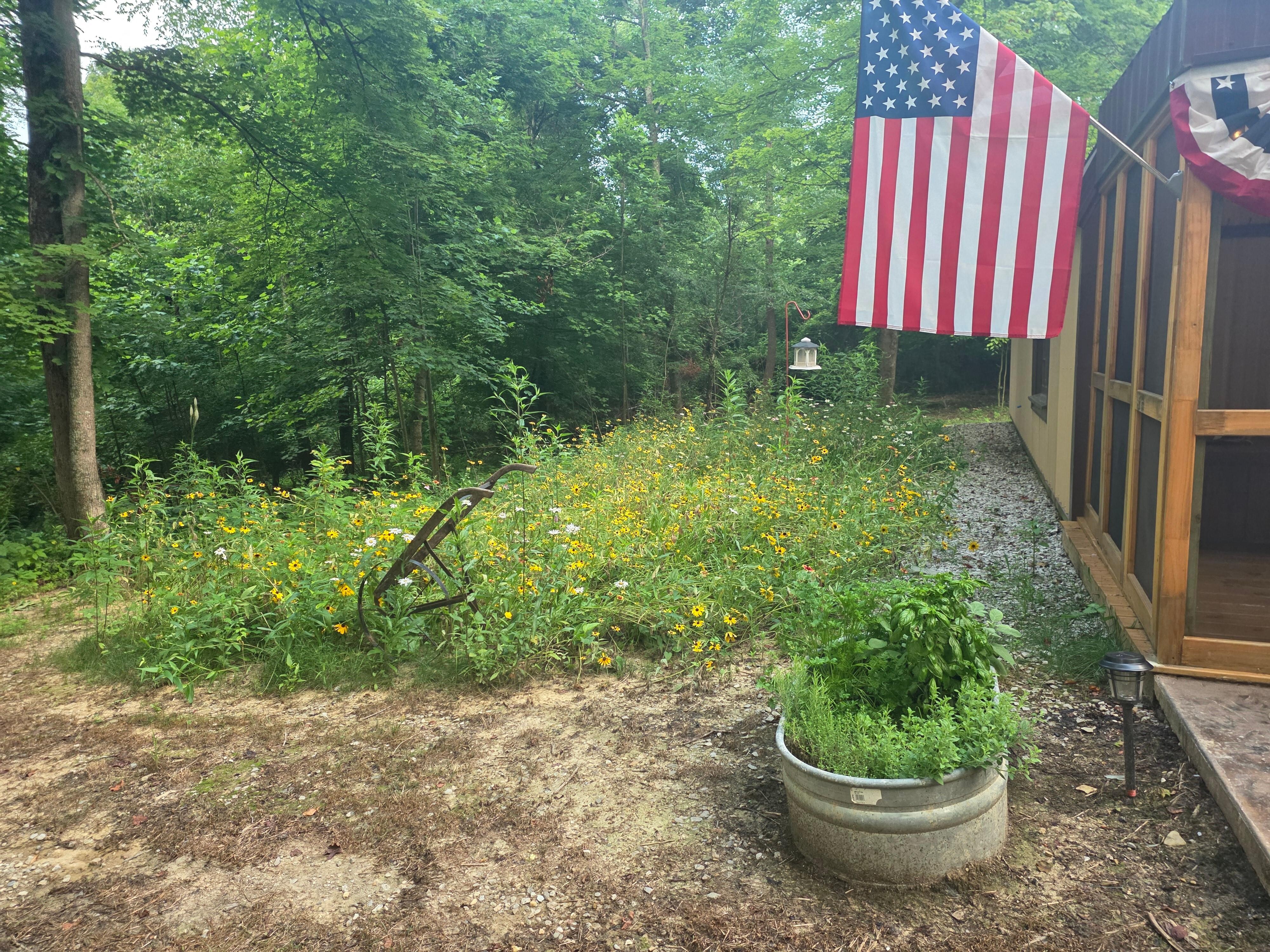 Wildflower and herb garden