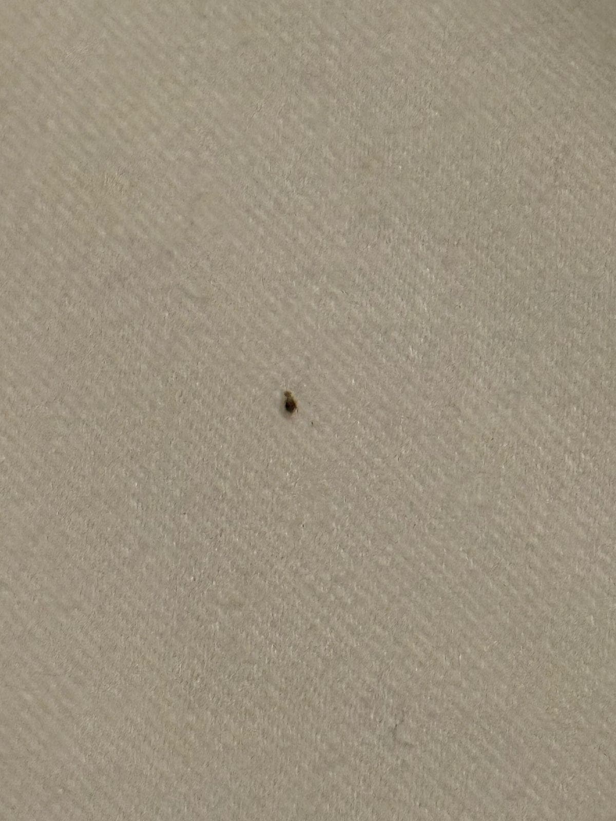 Imagínate dormir en esta cama! 