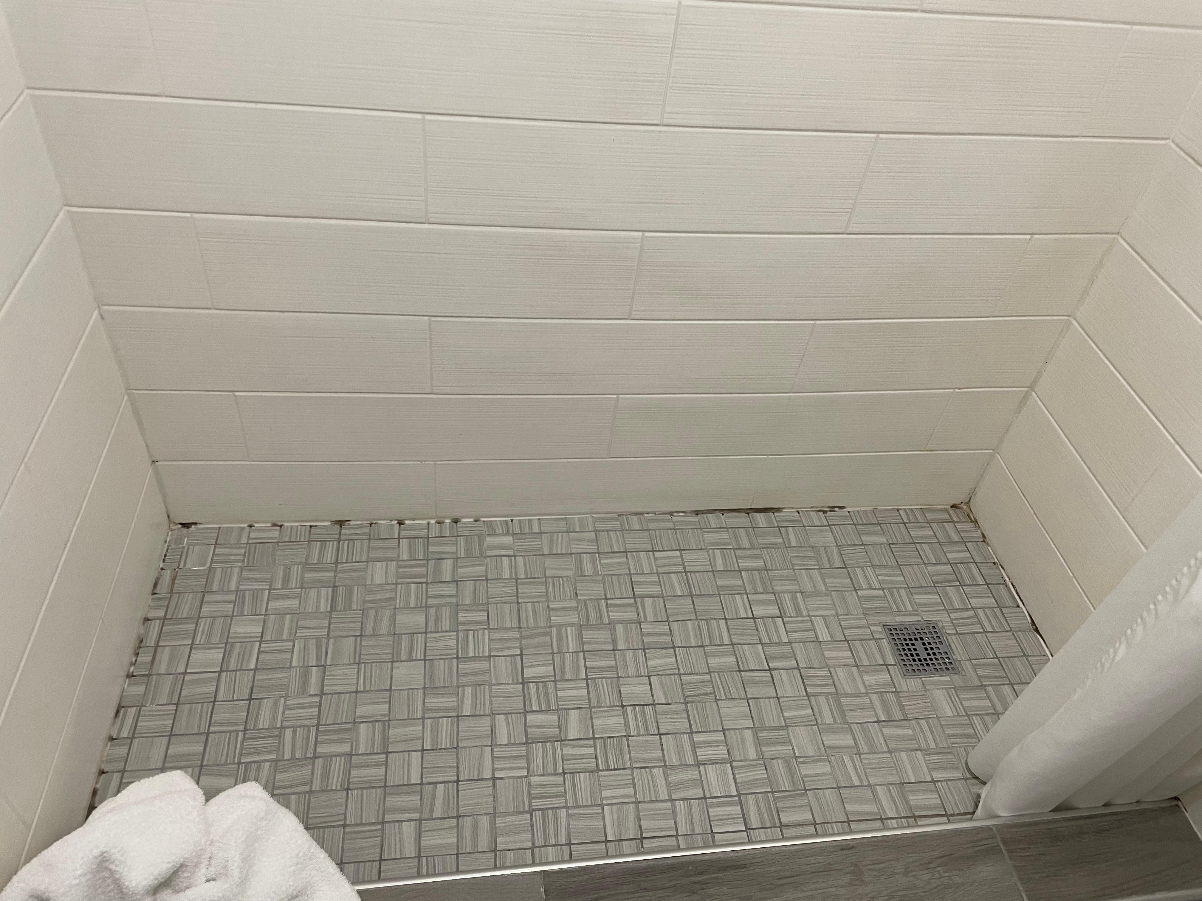 Mold all around edges of shows. 