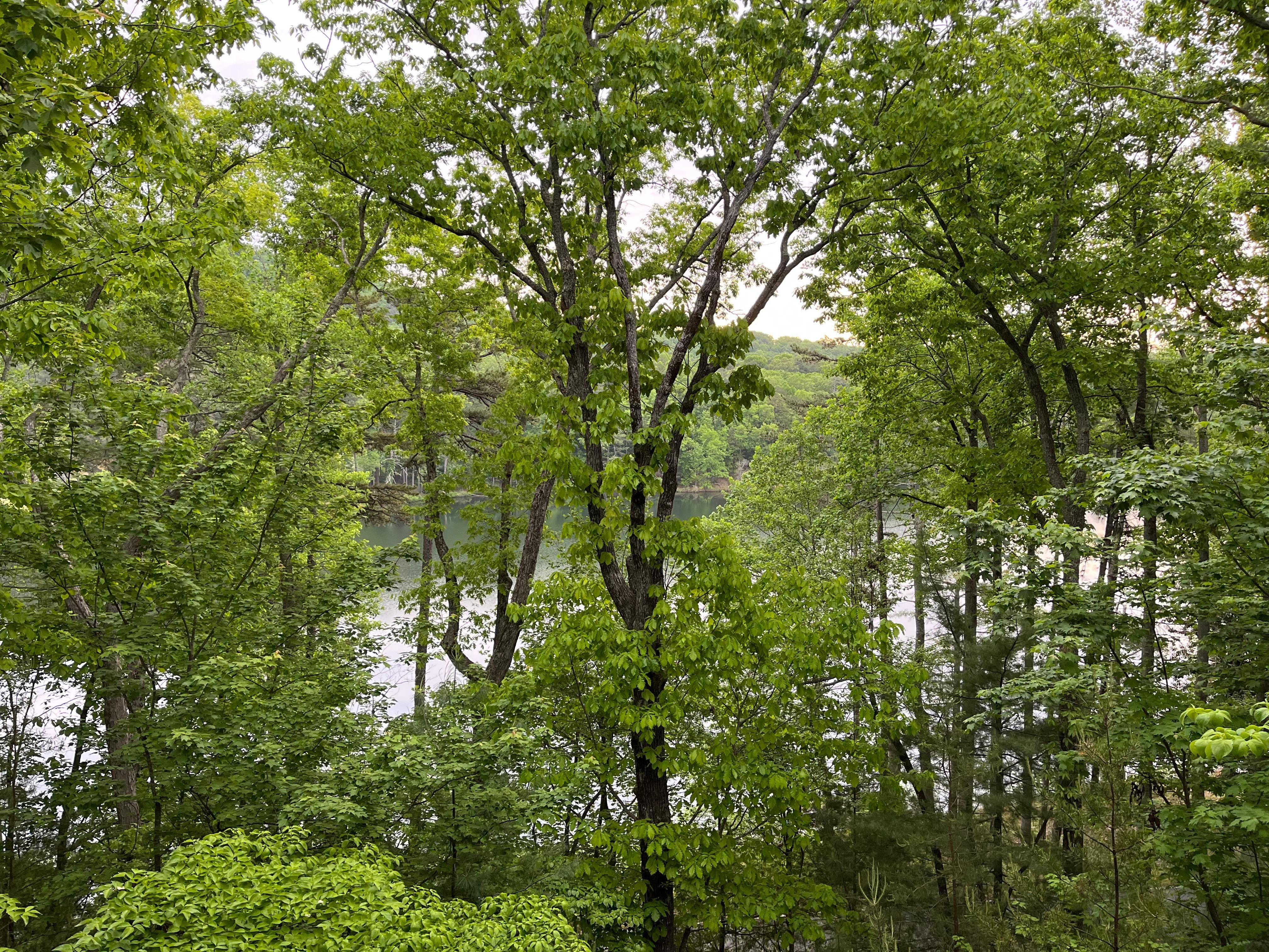 We enjoyed our morning coffee on the deck overlooking the lake!!