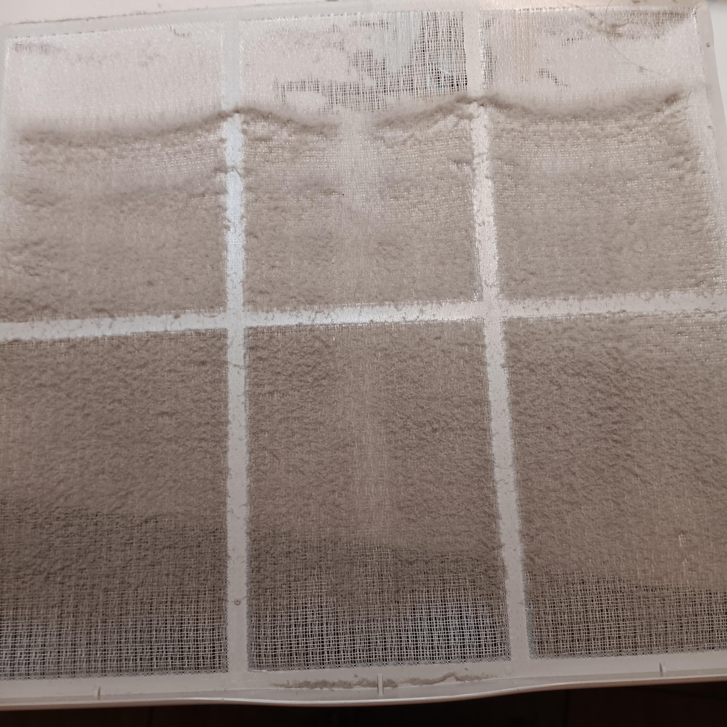 Dirty air filter after I cleaned it - from bedroom unit