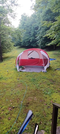 I slept outside for a couple of nights then the bears wanted to smell the tent at 3am. Went inside the rest of my stay lol what a fun trip.