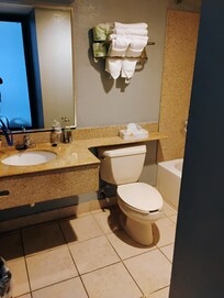 Large bathroom area