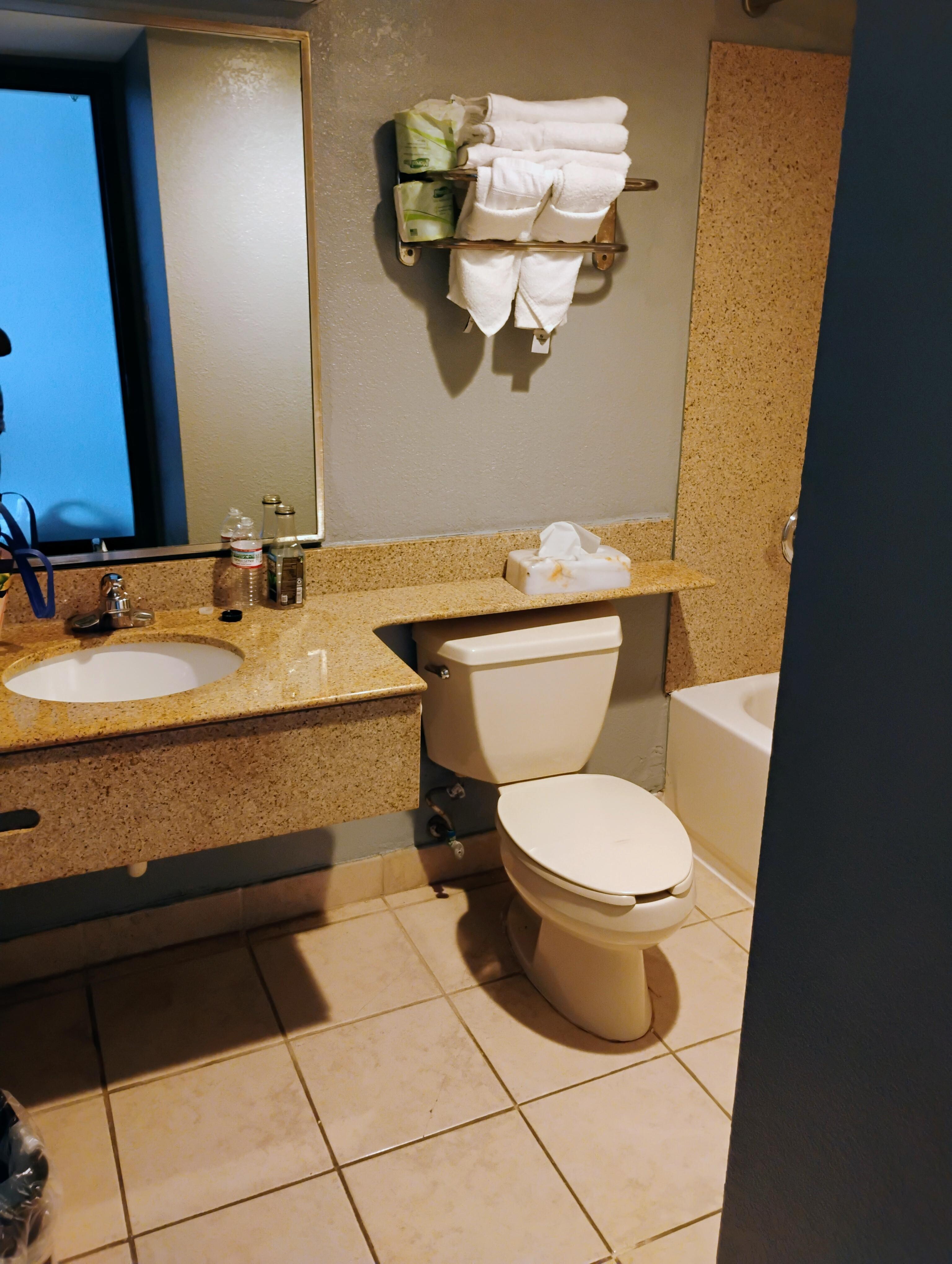 Large bathroom area