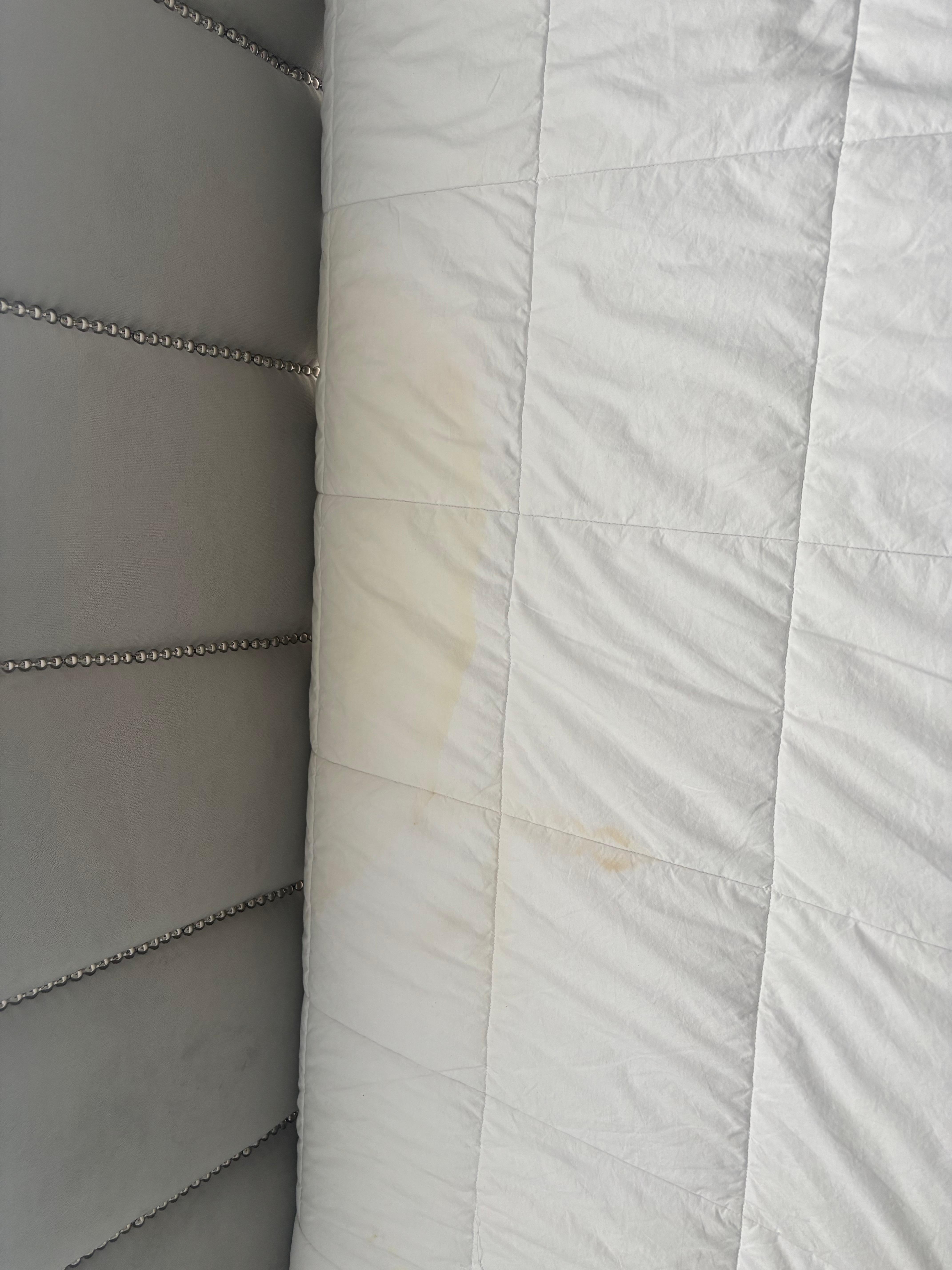 Urine stain 