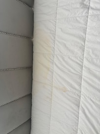 Urine stain