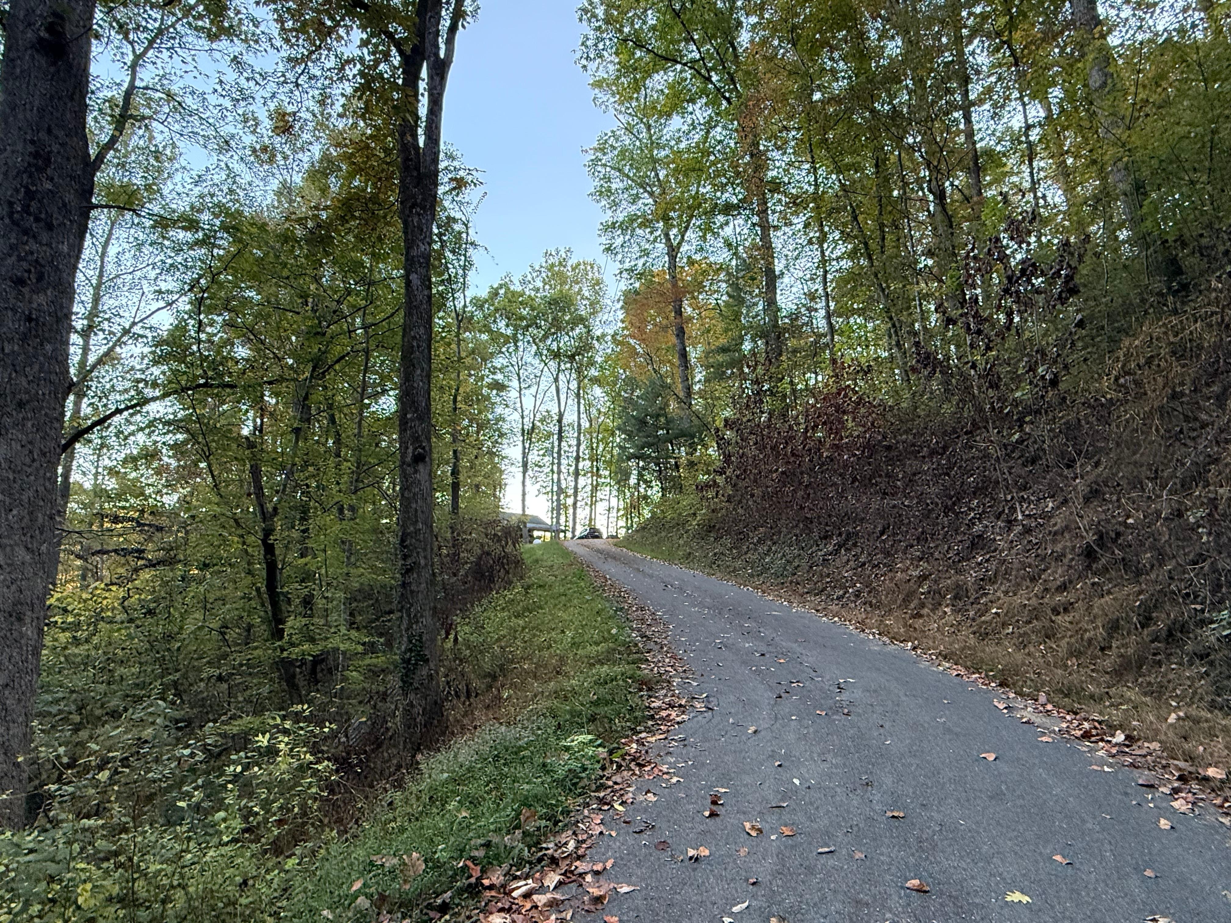 Final stretch of the road up to the cabin