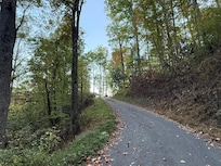 Final stretch of the road up to the cabin