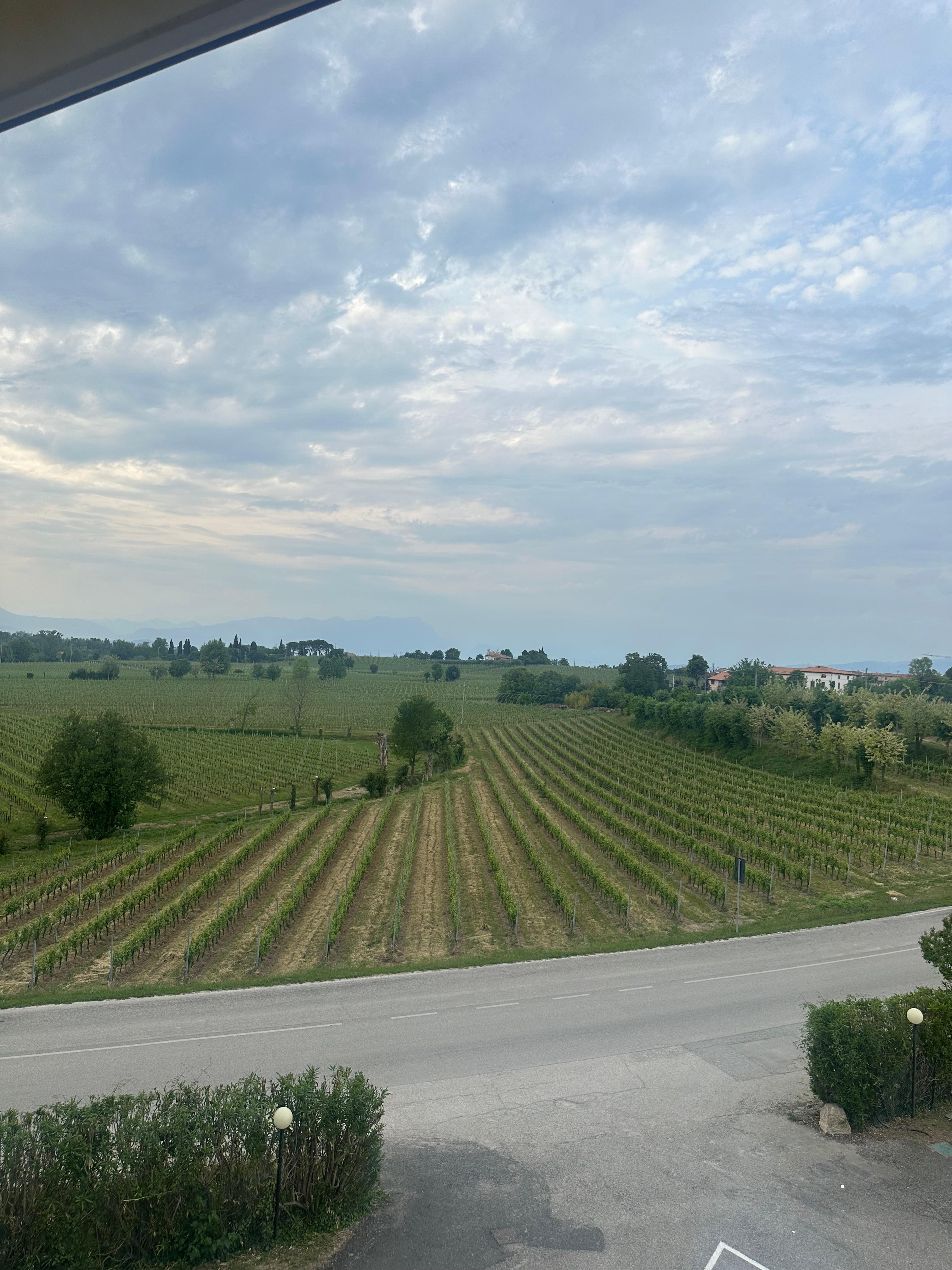 The view from our room on the second floor.