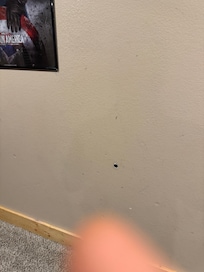 Hole in the wall in basement