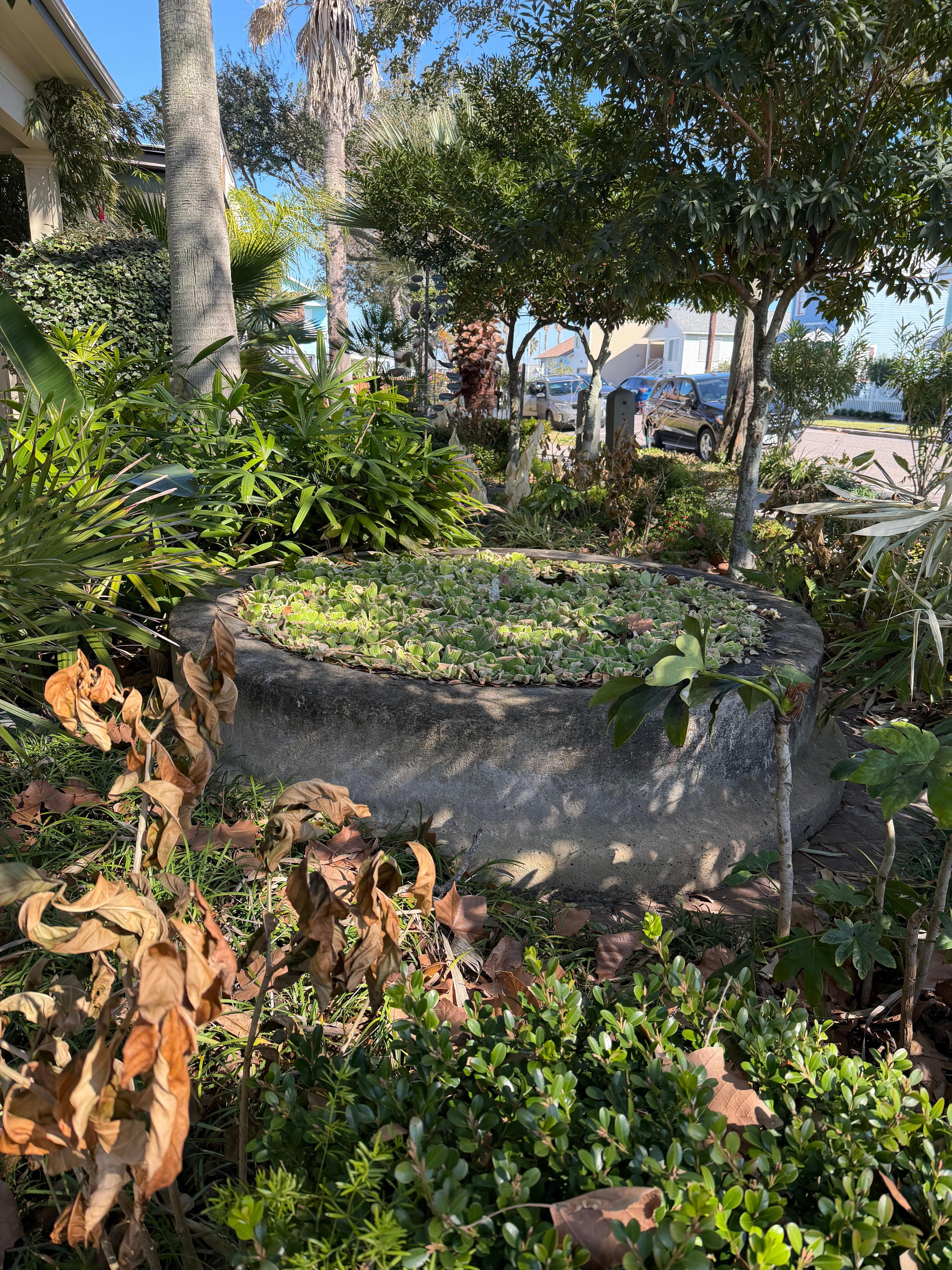 Neighborhood gardens