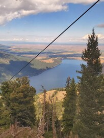 From the tram