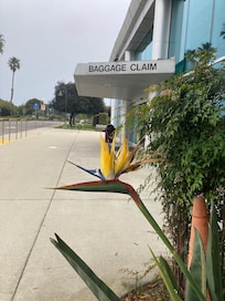 The plans around the Airport are well maintained.