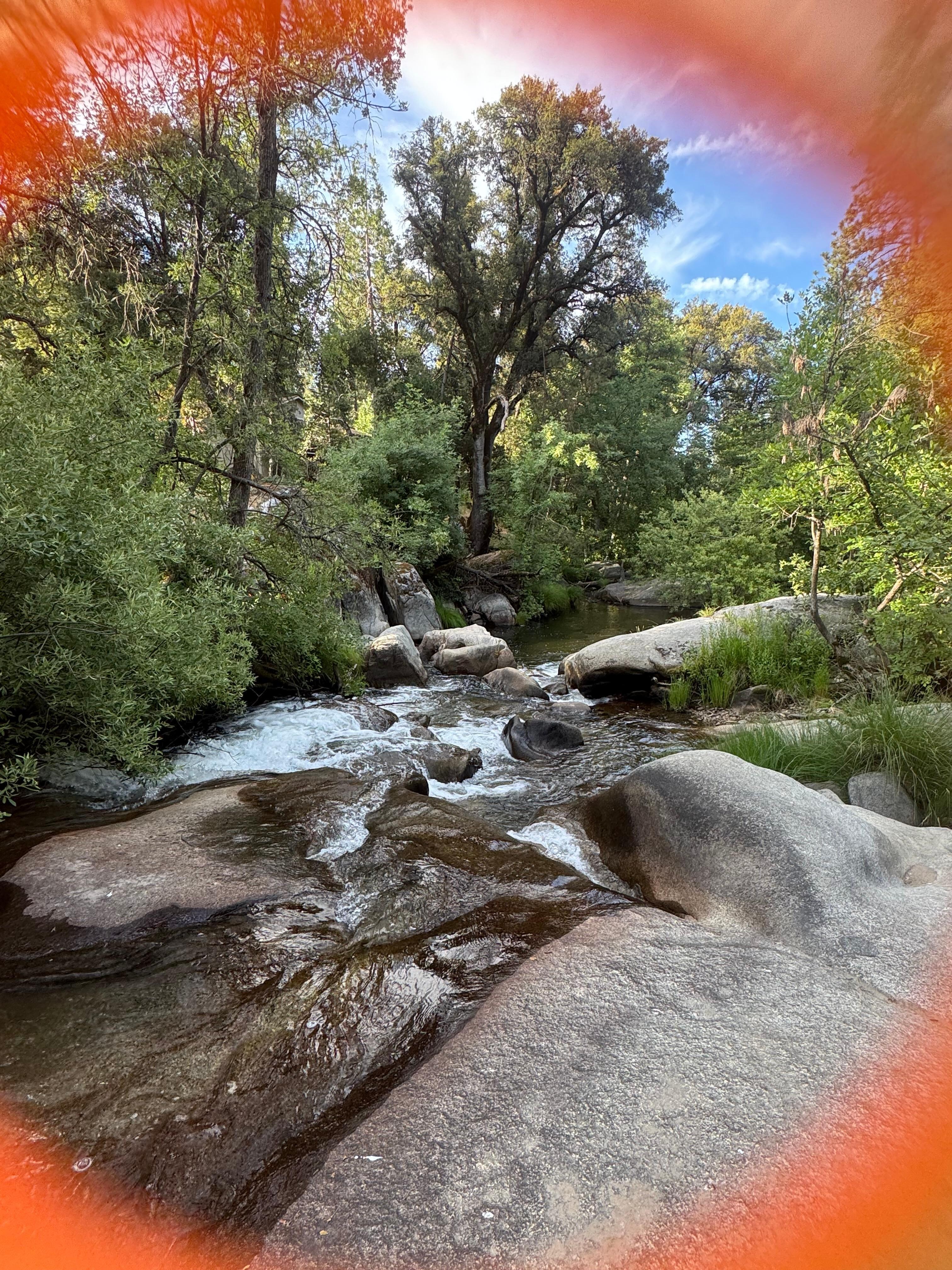 Another view of the creek.