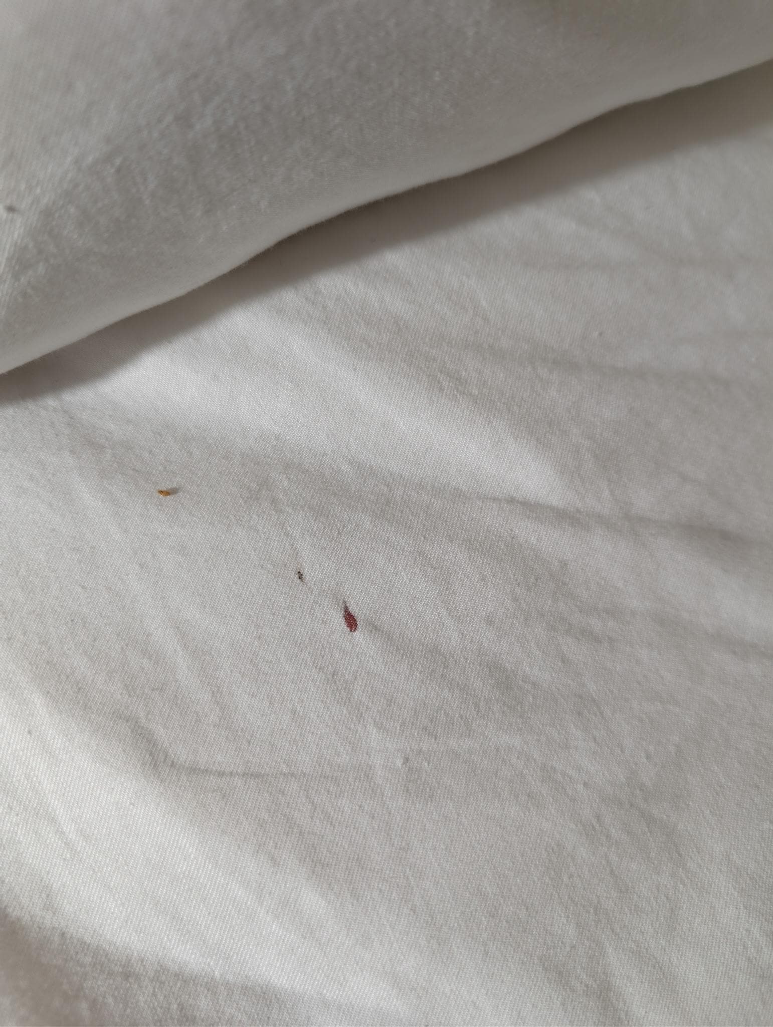 Blood spots on sheet and pillowcase 