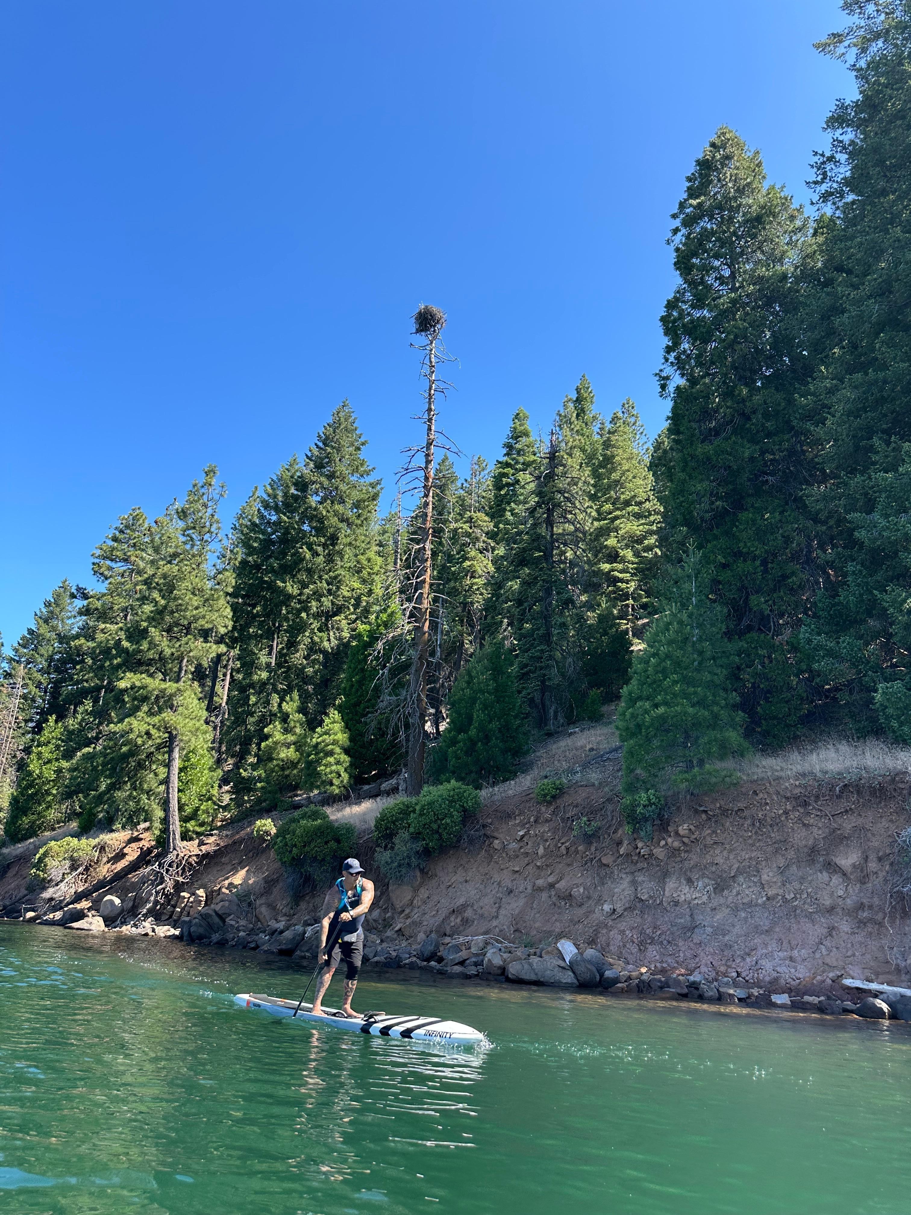 Scenic paddle boarding experience. 