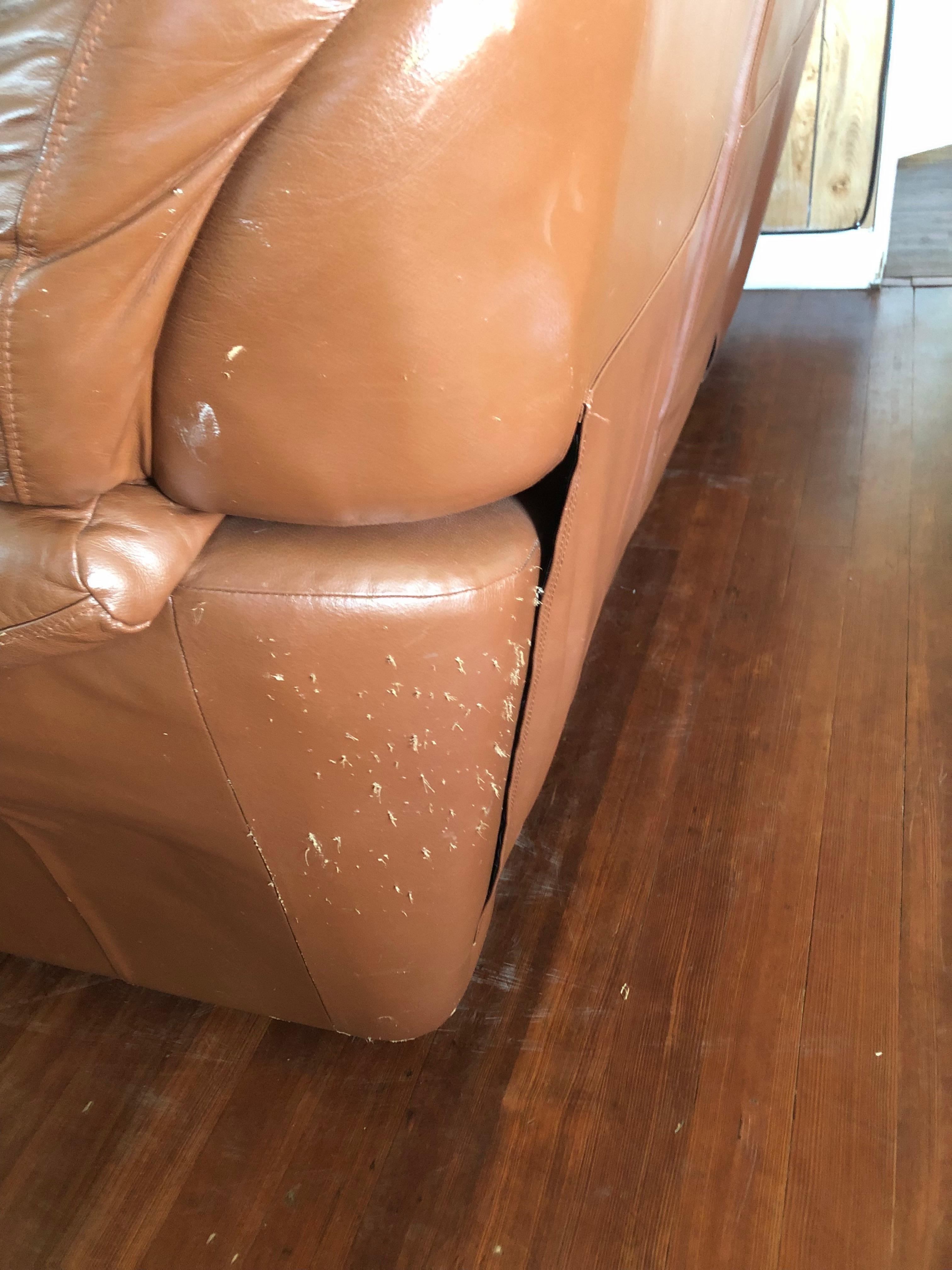 Living room sofa. Similar marks on back of furniture.