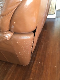 Living room sofa. Similar marks on back of furniture.