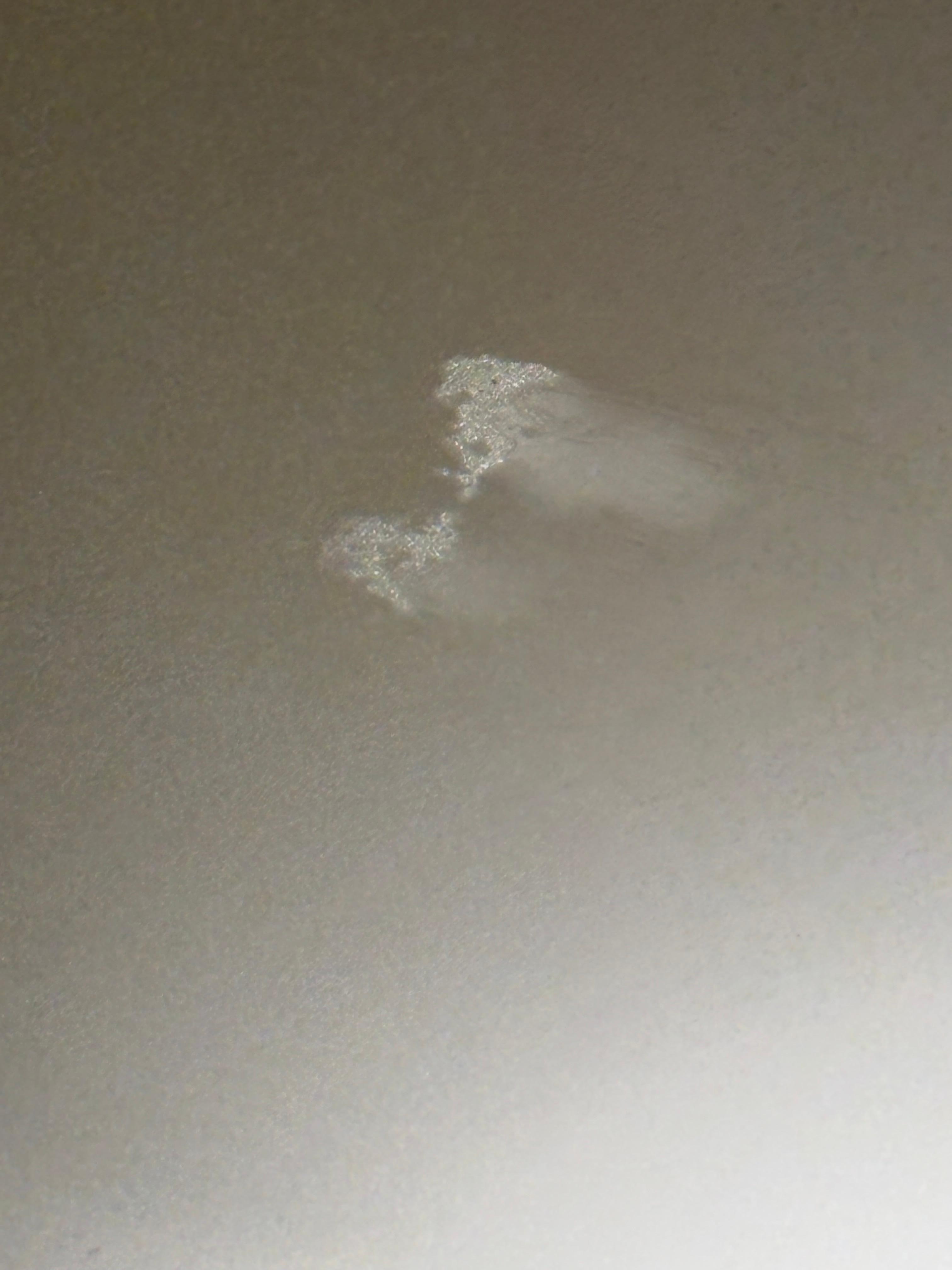 Bedroom ceiling. Looks like I didn’t  get a pic of the red stains on ceiling . Was the most surprising. 