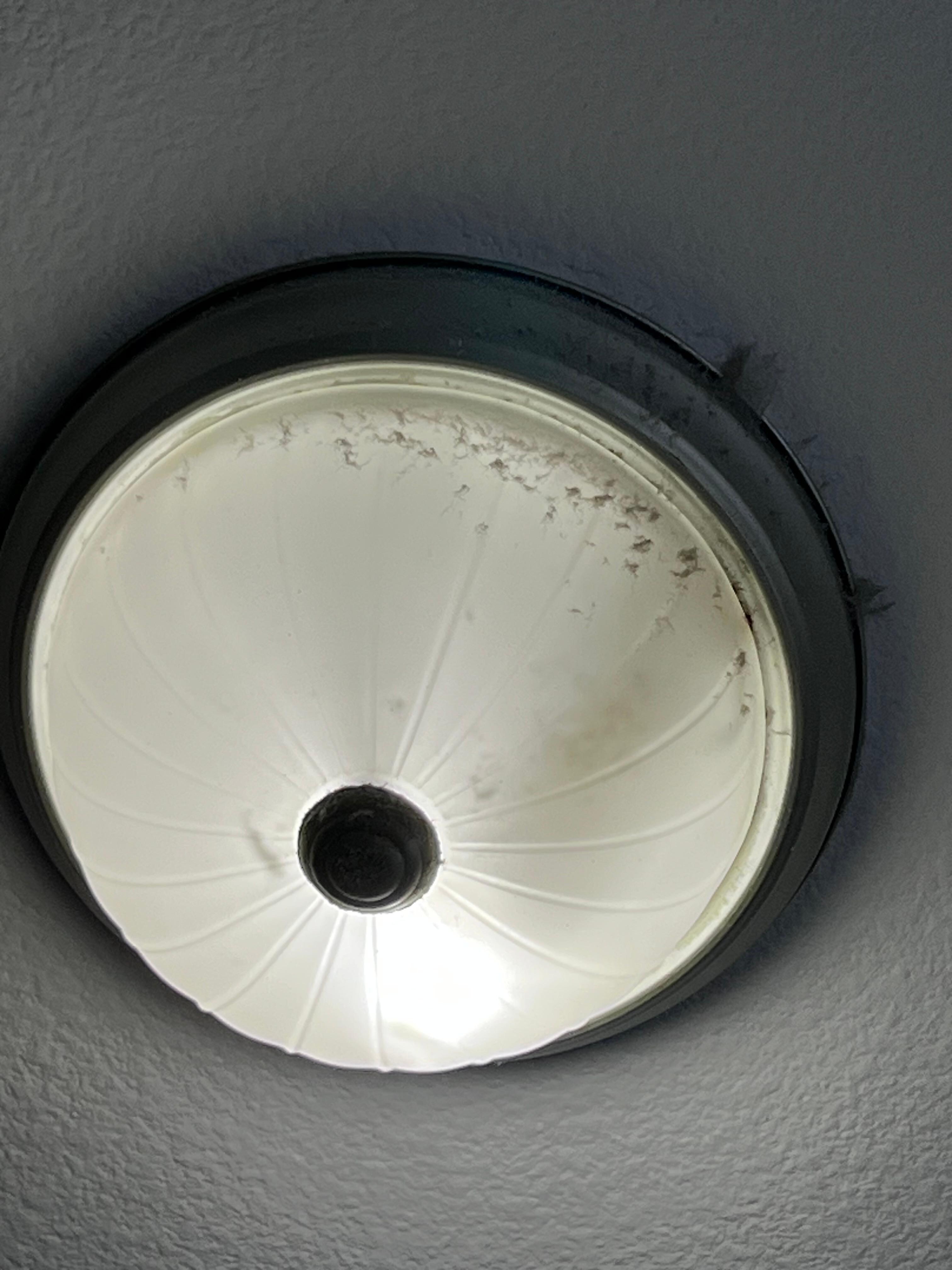 Dust on light fixtures 