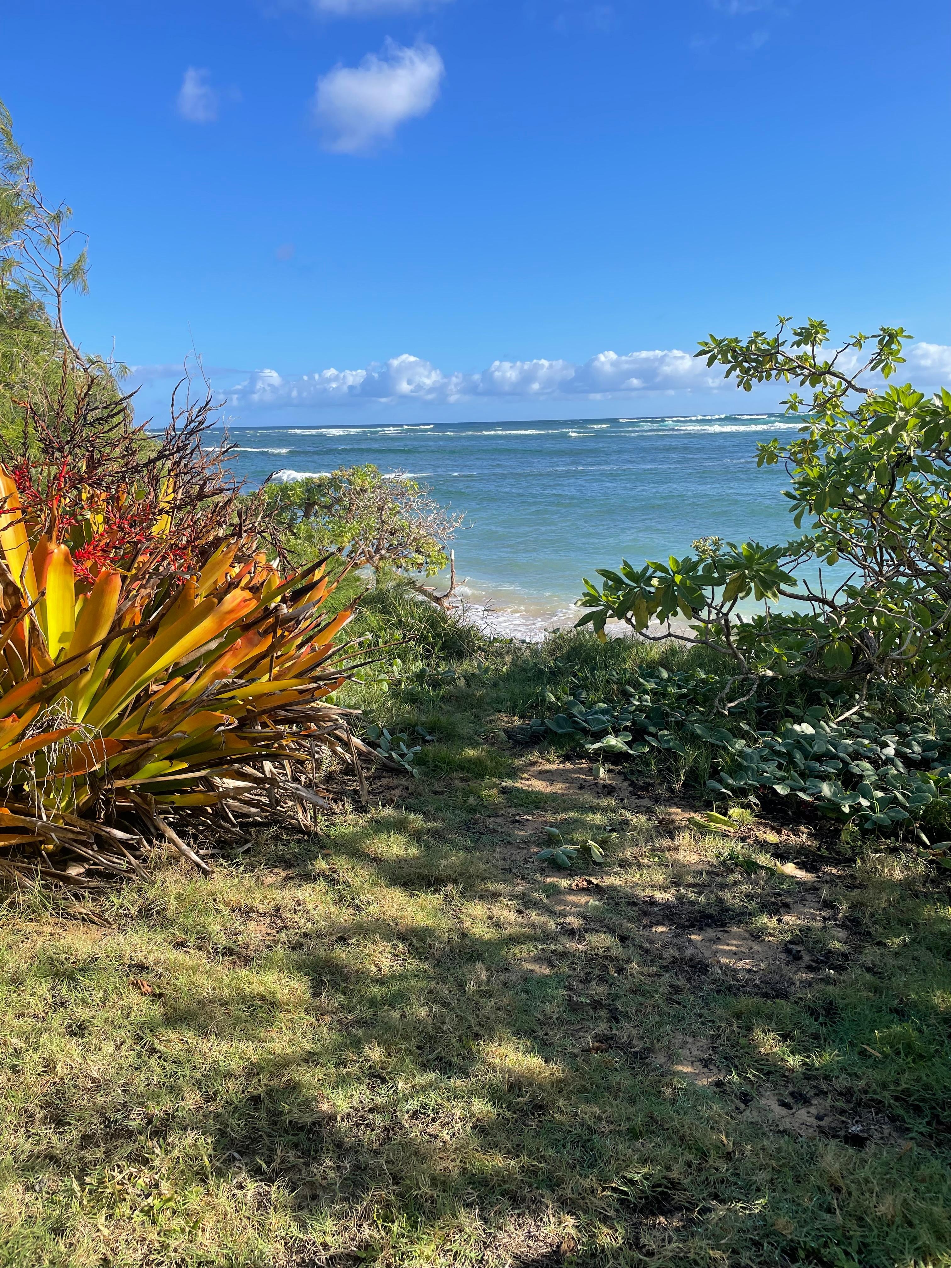 View from Hale Makai backyard 