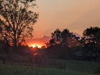 Beautiful Sunset!