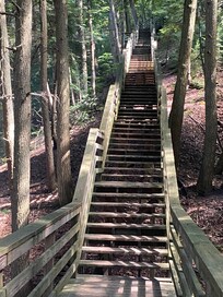 300 steps heading out of Largo springs
