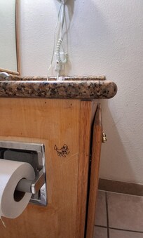 A budding artist left their mark