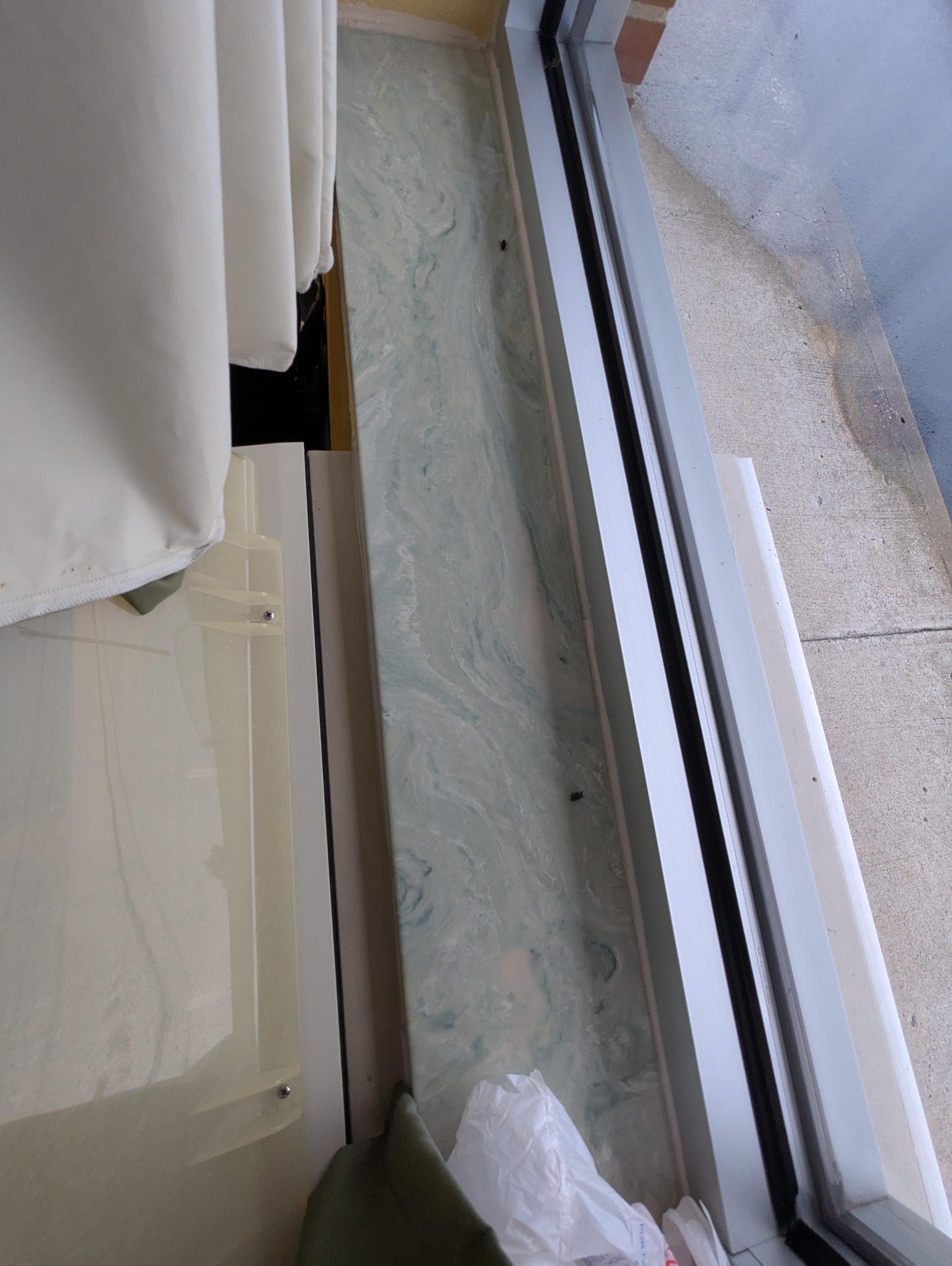 Flies inside the room