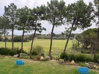 Peaceful setting with ocean view