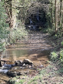 In the village.