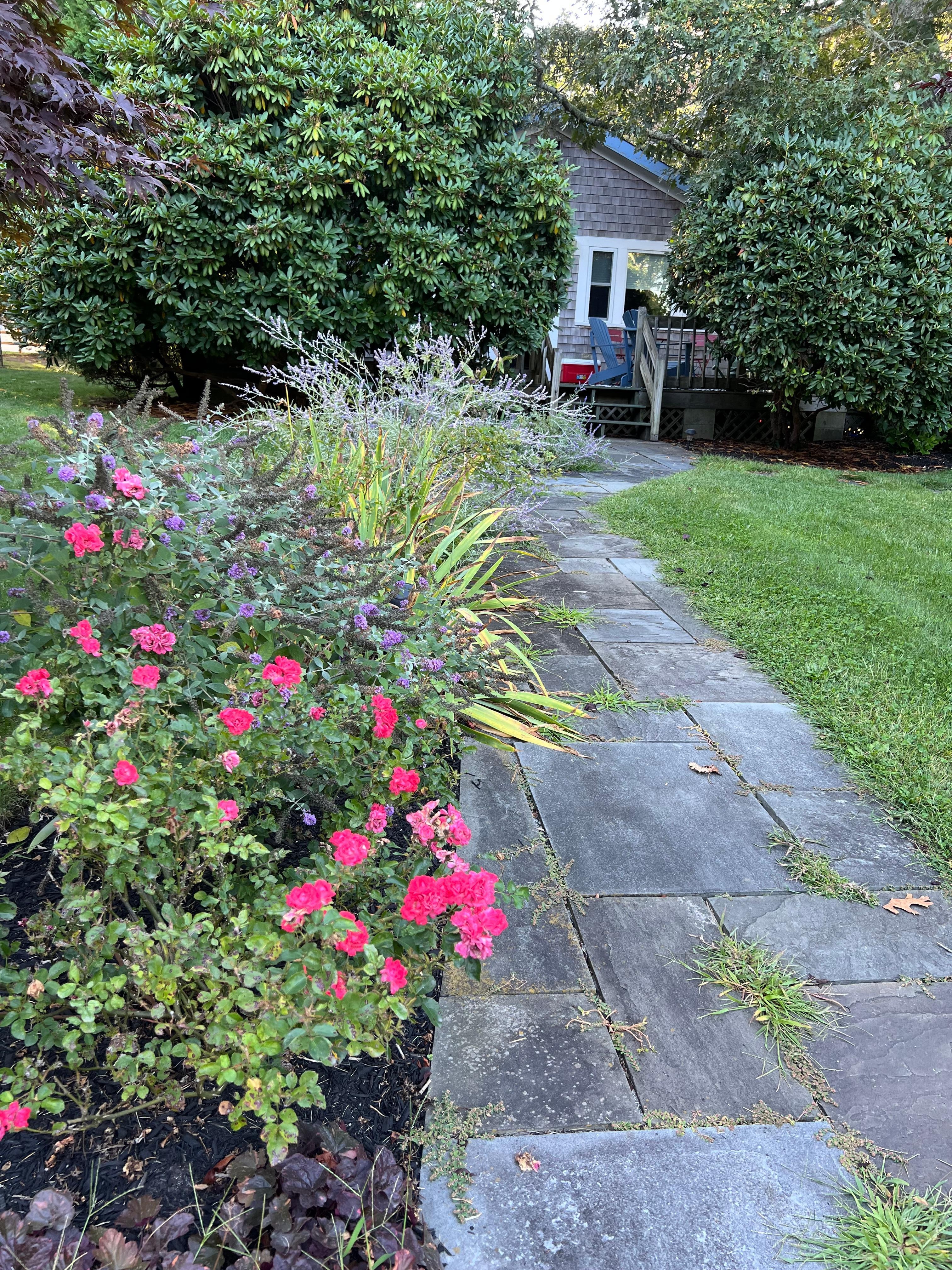 The walk way to the cottage