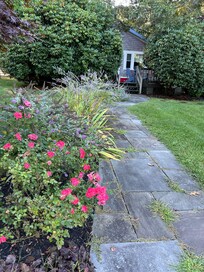 The walk way to the cottage