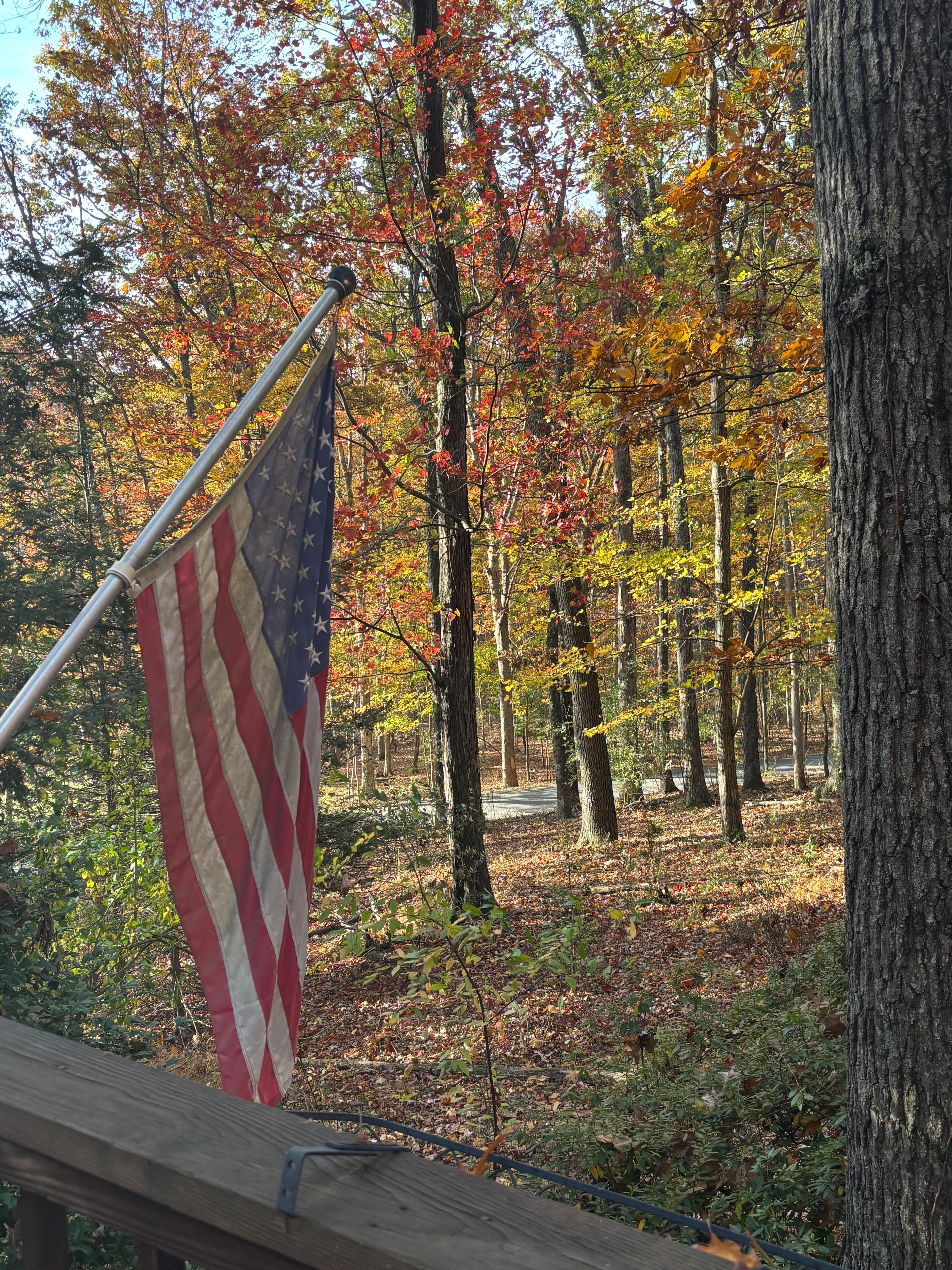 The fall colors were so pretty.  