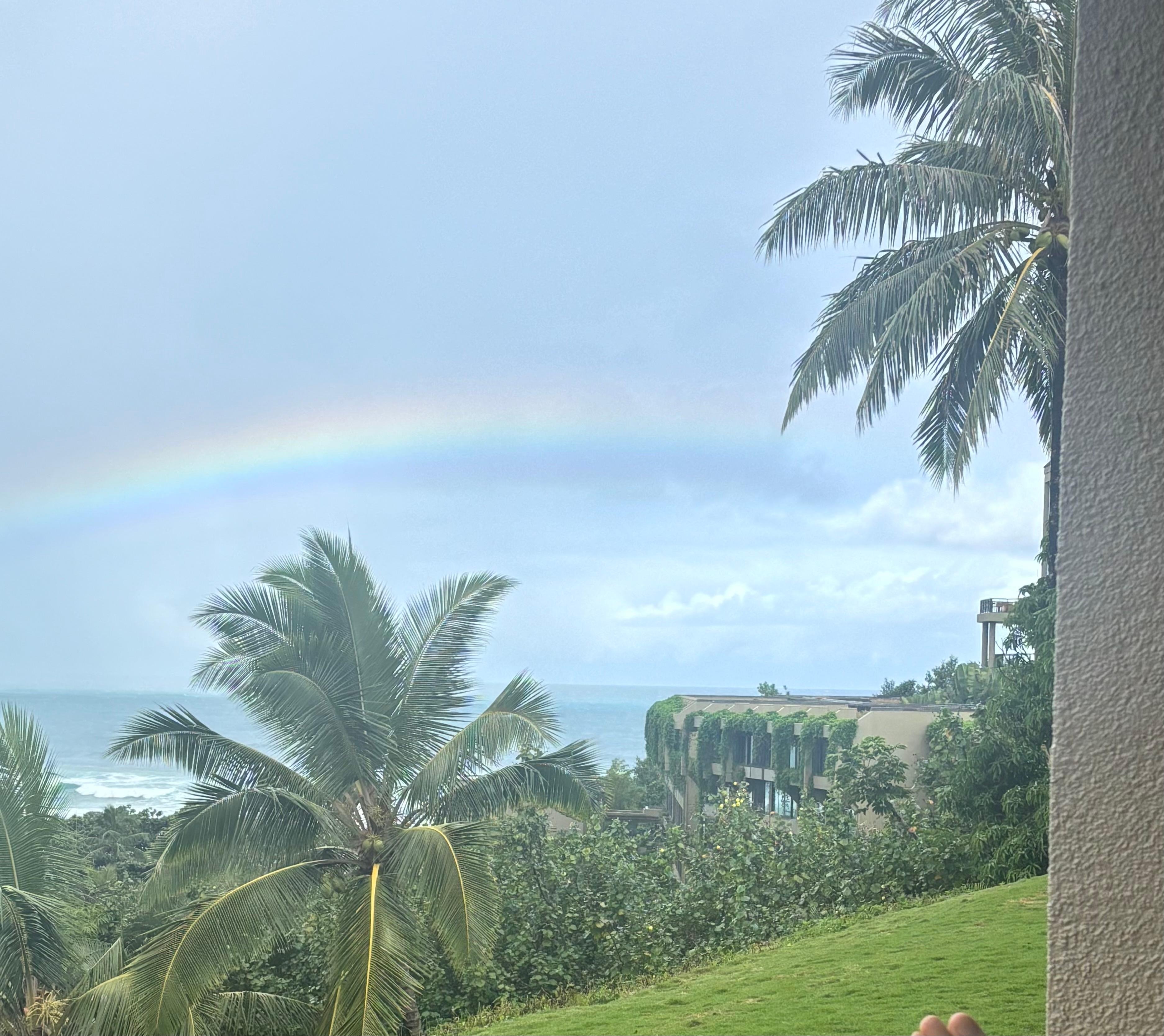 Rainbows never disappoint 