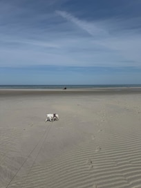 Our dog Snowflake enjoying a swim