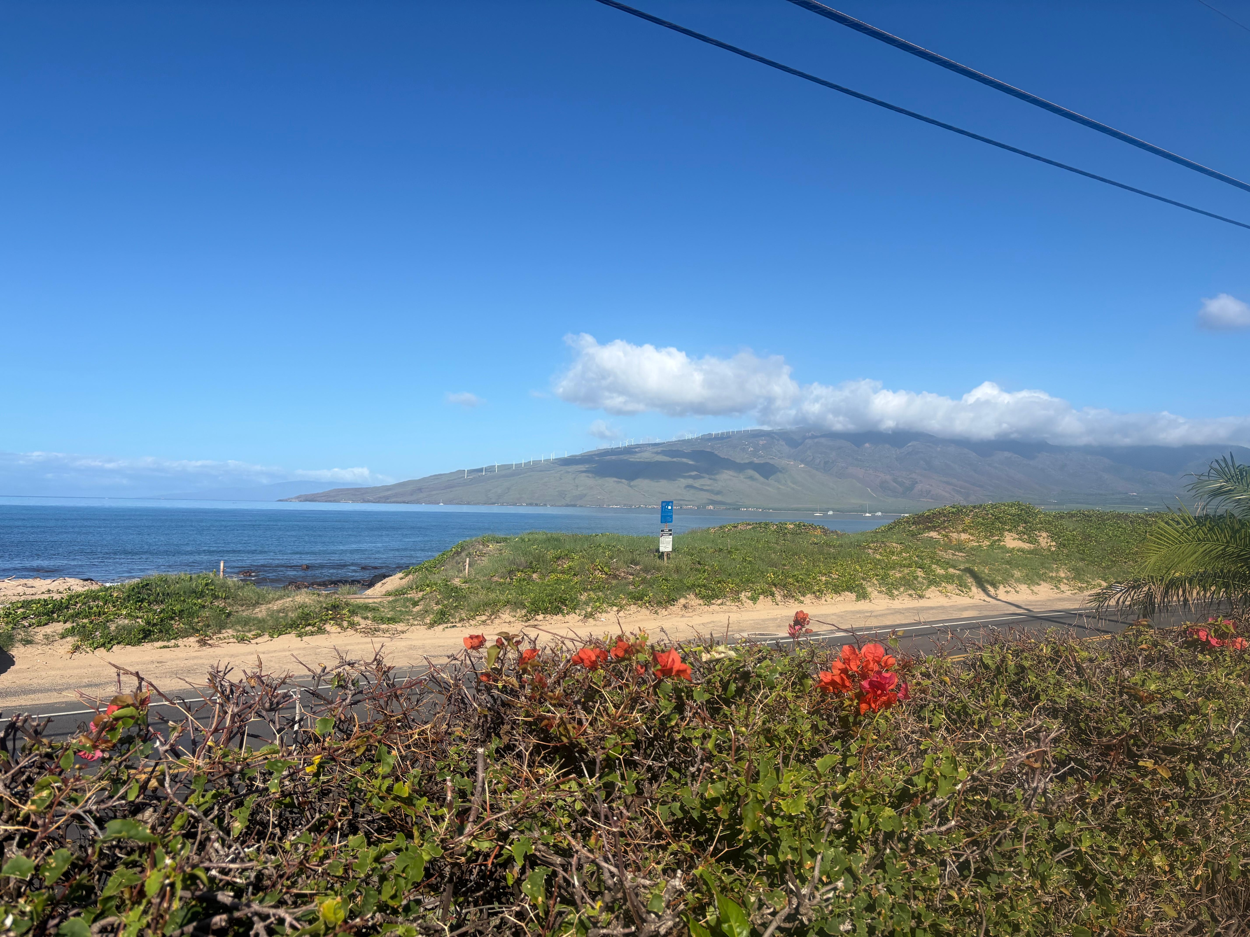 Beach access across the street. 